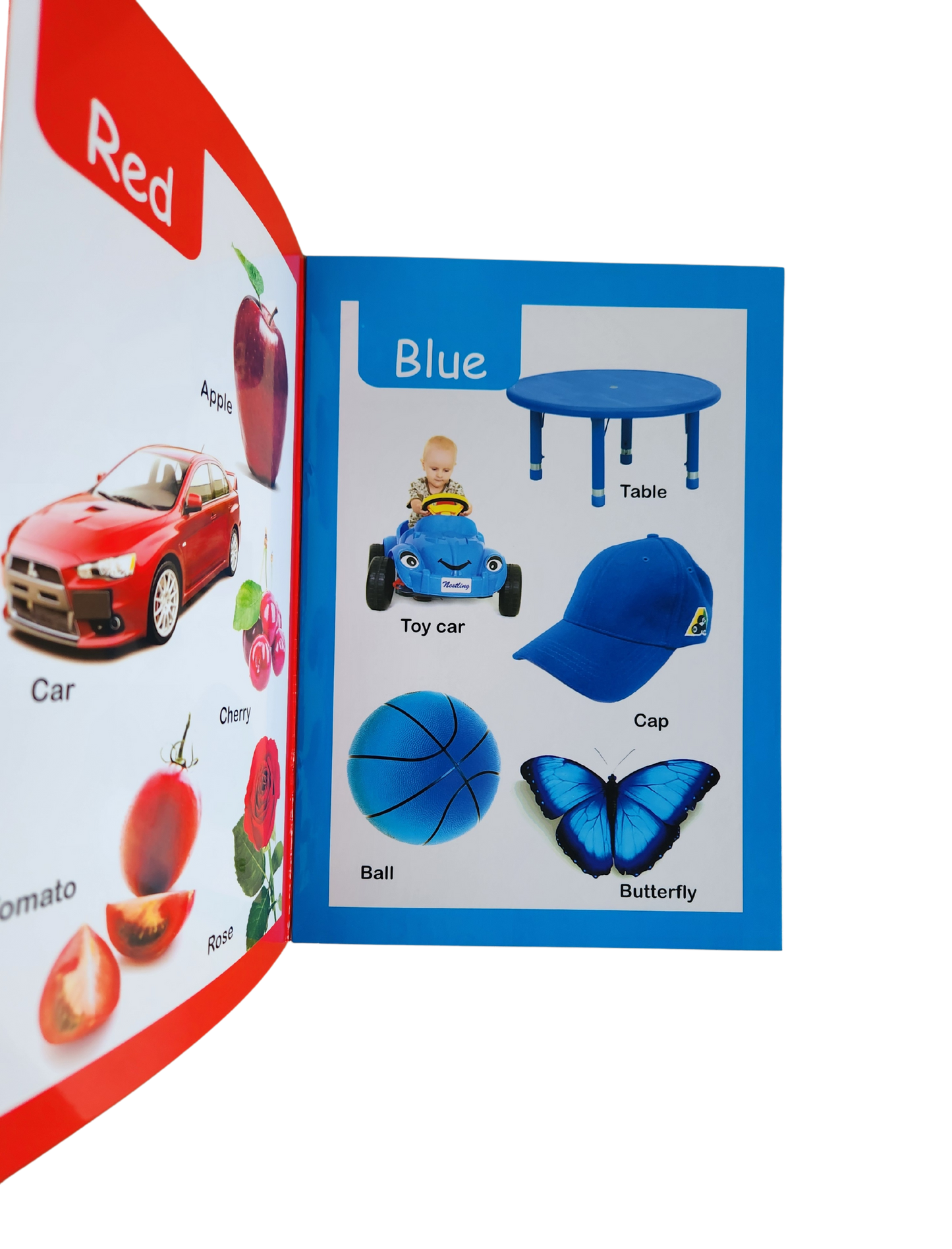 My First Book Of Colours | Nestling