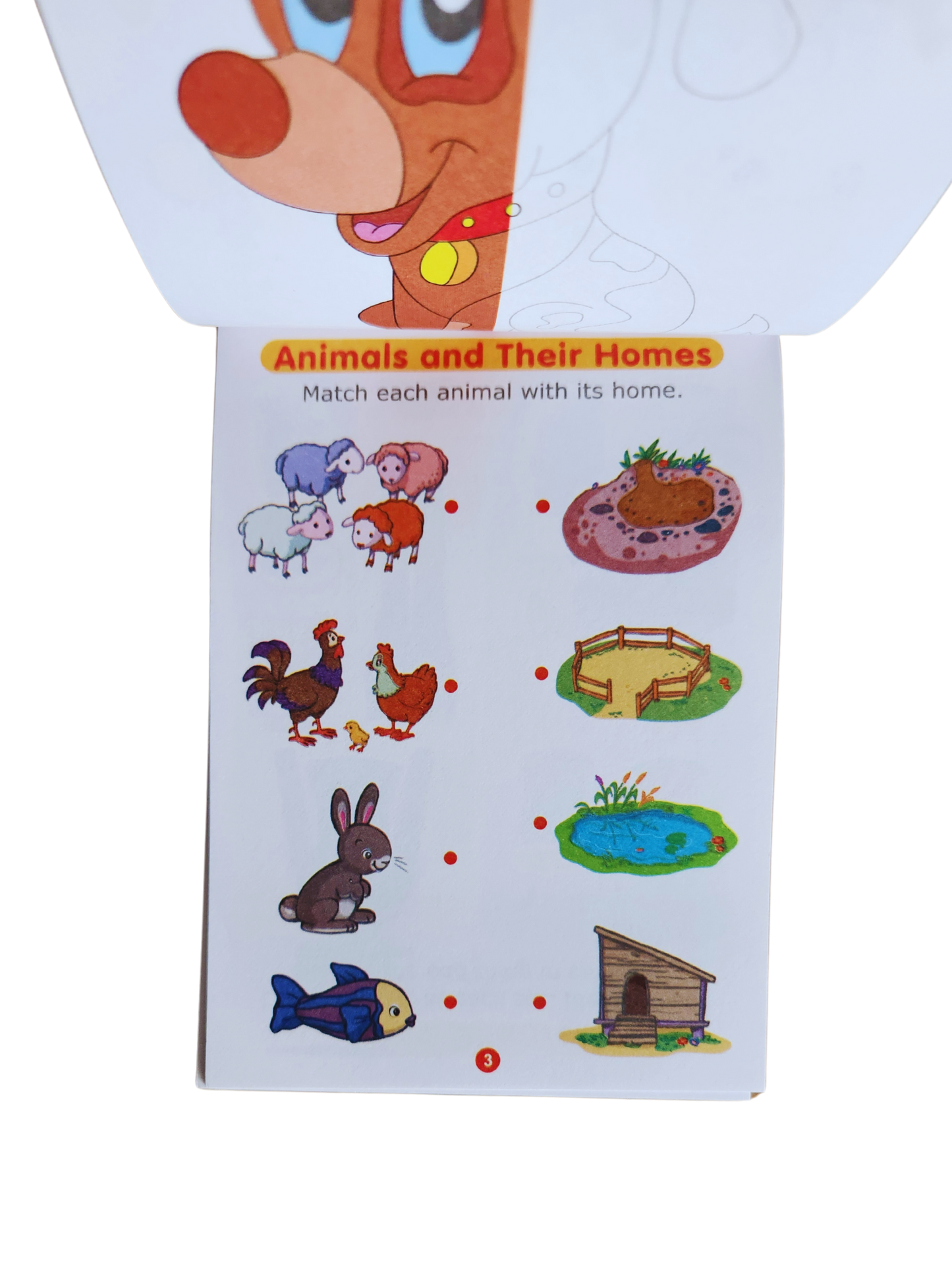 Mini Fun Activity books 3