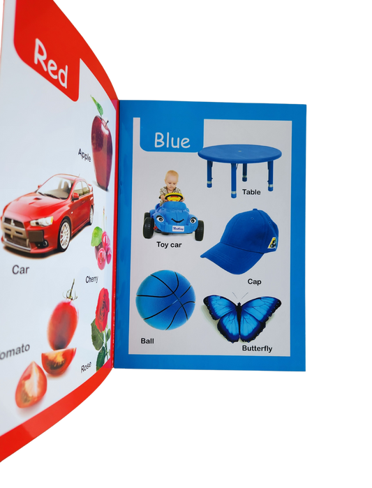 My First Book Of Colours | Nestling